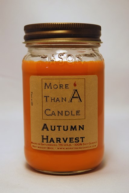 Picture of More Than A Candle ATH16M 16 oz Mason Jar Soy Candle, Autumn Harvest