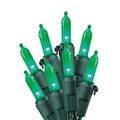 Celebrations 40835-71 50 Green LED Traditional Mini Light Set Celebrations 40835-71 50 Green LED Traditional Mini Light Set