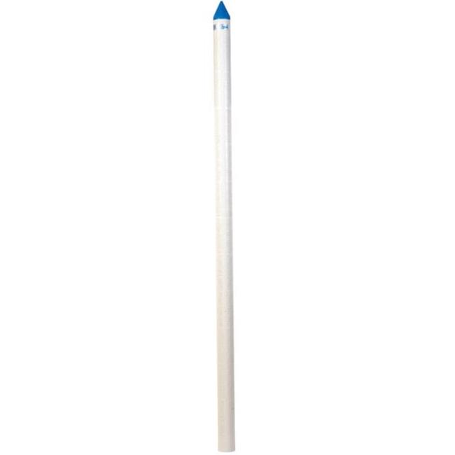 Brady BBP200-5 2 in. 5 ft. Blue Well Point