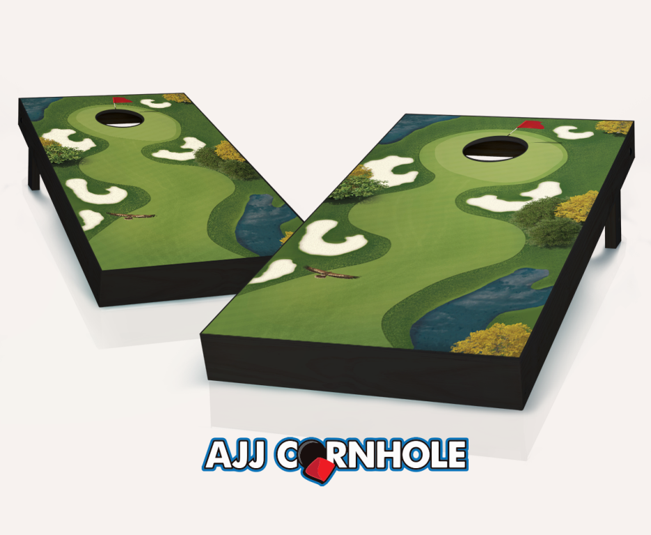 Picture of AJJCornhole 107-HoleInOne Hole In One Theme Cornhole Set with Bags - 8 x 24 x 48 in.