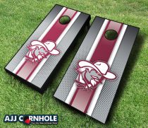 Picture of AJJCornhole 110-EasternKentuckyStriped Eastern Kentucky Colonels Striped Theme Cornhole Set with Bags - 8 x 24 x 48 in.