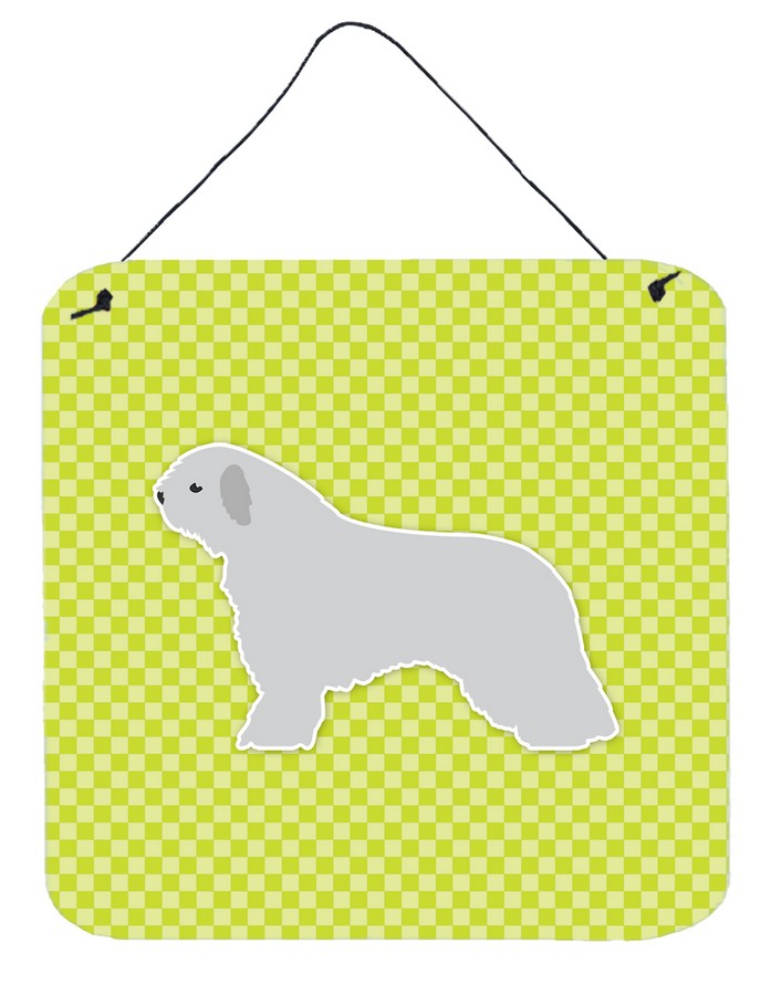 Spanish Water Dog Checkerboard Green Wall or Door Hanging Prints