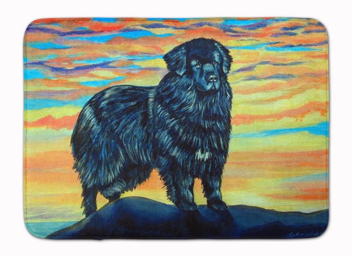 7518RUG Newfoundland Machine Washable Memory Foam Mat