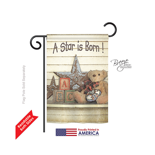 65076 A Star is Born 2-Sided Impression Garden Flag - 13 x 18.5 in.