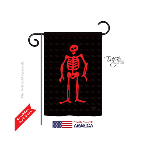 57035 Pirate Edward Low 2-Sided Impression Garden Flag - 13 x 18.5 in.