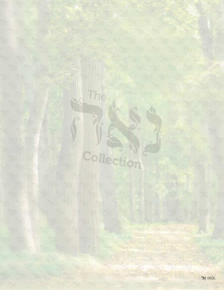 Nua Gifts  Design Paper - Scenic Pathway  8.5 x 11 in. - 10 per Pack