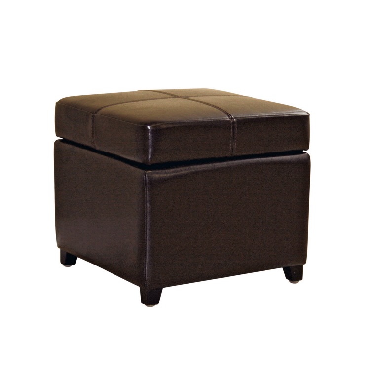 Picture of Baxton Studio 0380-001-dark brown Dark Brown Full Leather Storage Cube Ottoman - 18 x 18 x 16.5 in.