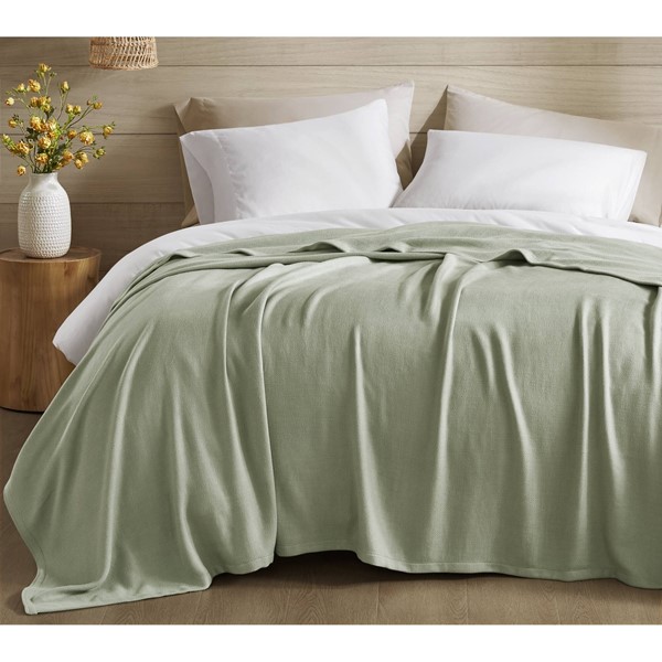 Picture of Madison Park AM51-0526 Bamboo Cotton Rayon Blanket&#44; Sage Green - Twin Size