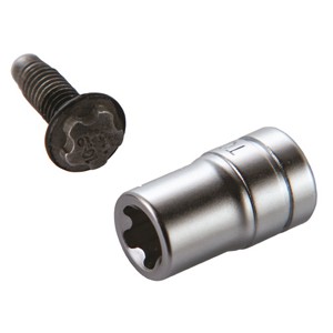 Assenmacher Specialty AHTSE10TP5 0.25 in. Tesla E10 5 Lobe Socket