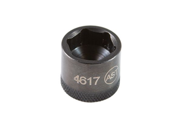 Assenmacher Specialty AH4617 0.25 in. Drive 17 mm Socket