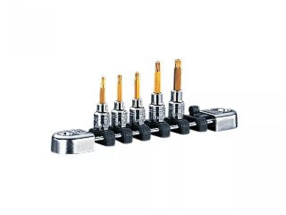 NPNTQ4T05A 0.25 in. Drive Torx Bit Socket Set - 5 Piece
