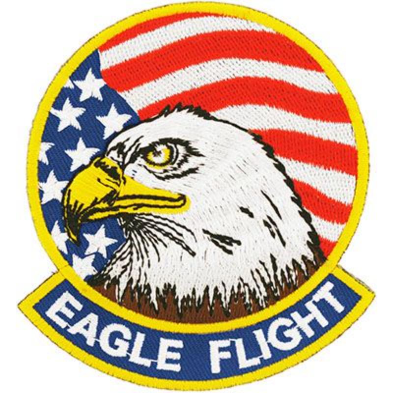 PM5254 Patch - USA, Eagle Flight - 3.38 in.