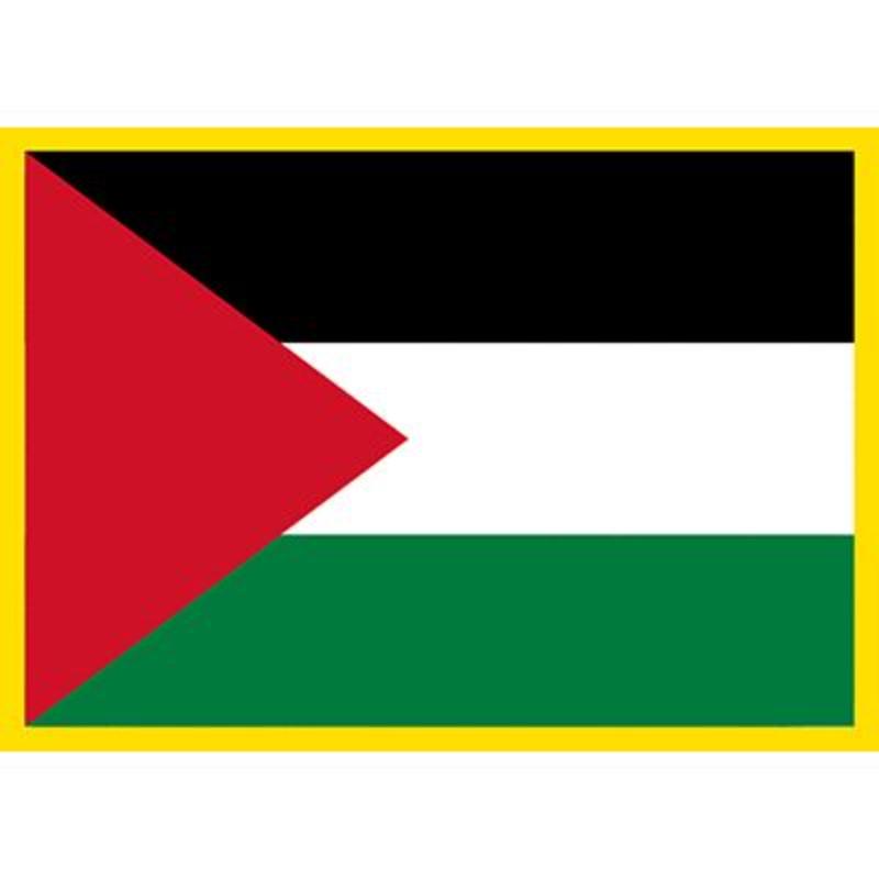PM6083 Patch - Palestine - 3.5 x 2.5 in.