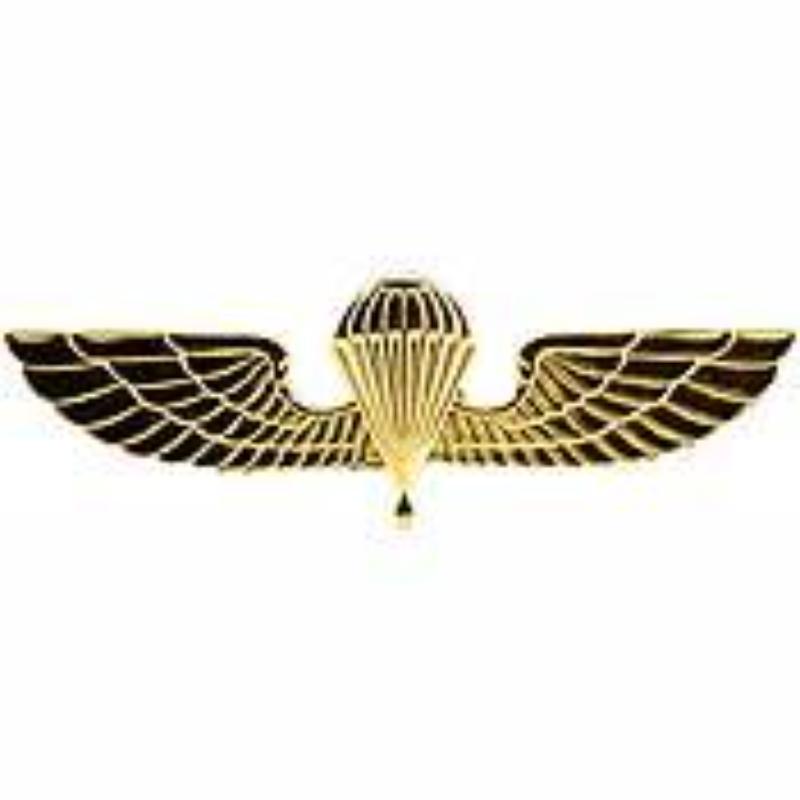 P40049 Wing Pin - Greek, Jump - 2.625 in.