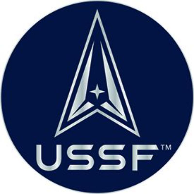 P15330 Pin - USSF Space Force Logo II - 1 in.