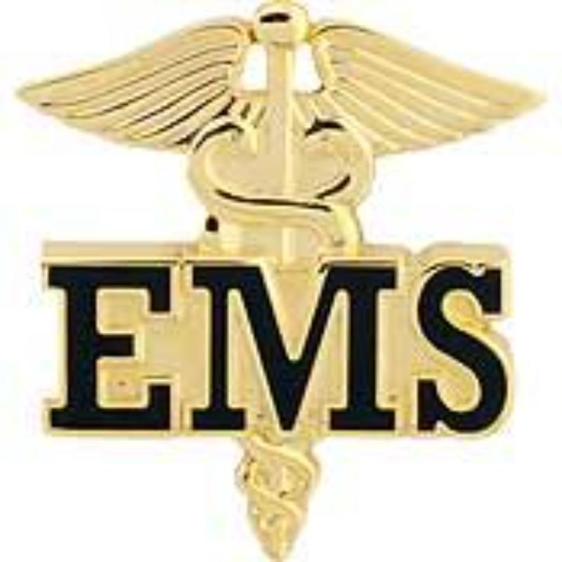 P02301 Pin - EMS, Caduceus - 1 in.