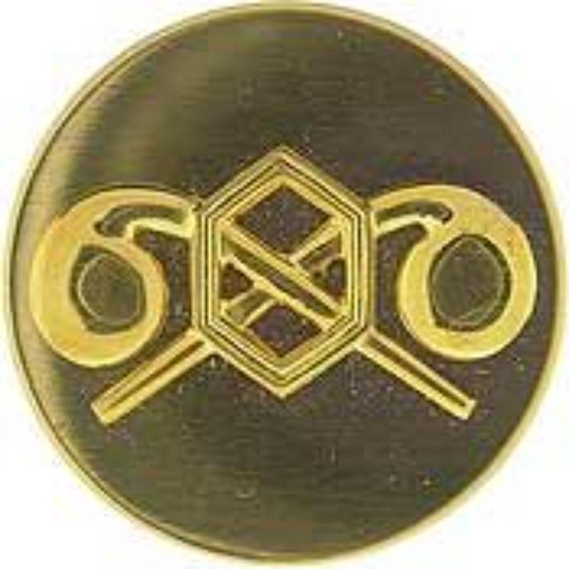 Army Chemical Pin - Gold - 1 in. - Durable Military Design