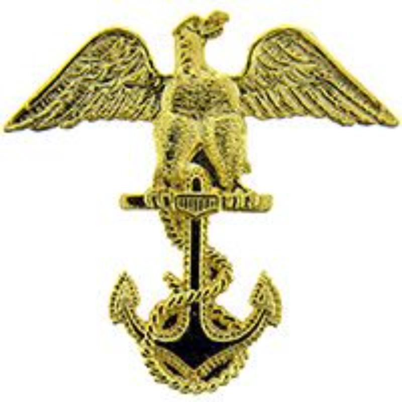P12494 Pin - USN, Cadet Eagle - 1.625 in.