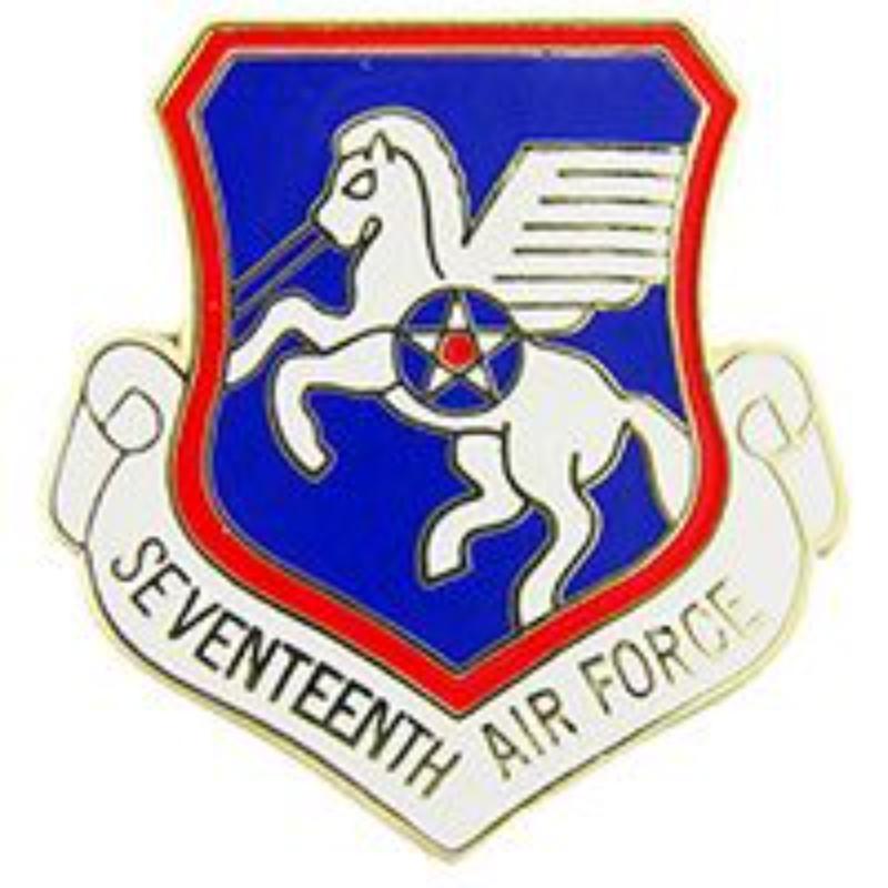 P15964 Pin - USAF, 17th, Shield - 1 in.
