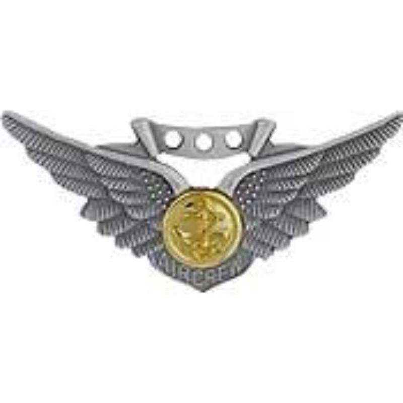 P16096 Wing Pin - USN, Combat Aircrew - 2 in.