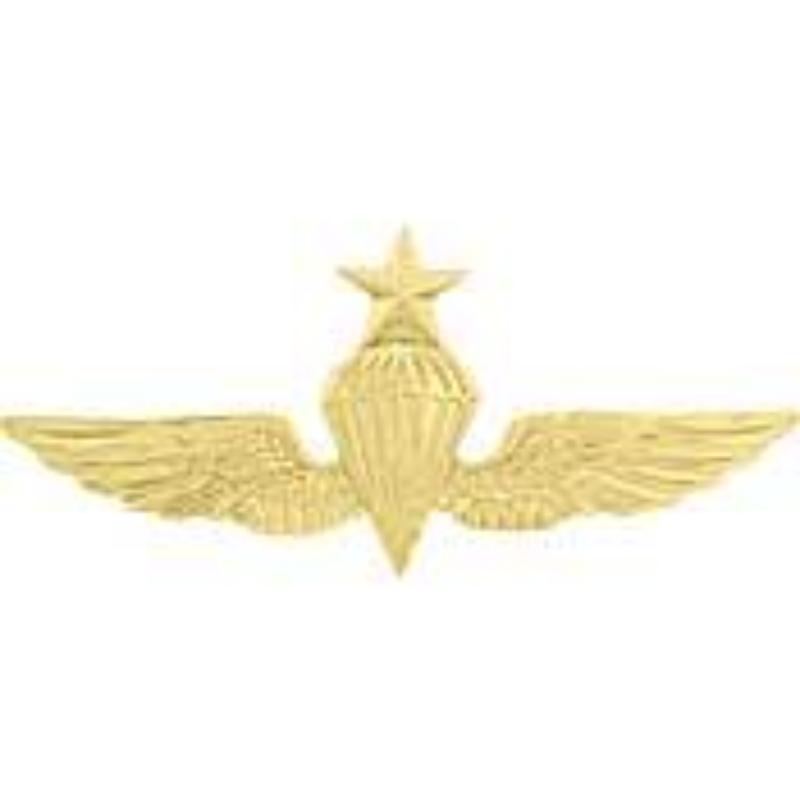 P16320 Wing Pin - USN & USMC, Para, Senior - Gold - 2.75 in.