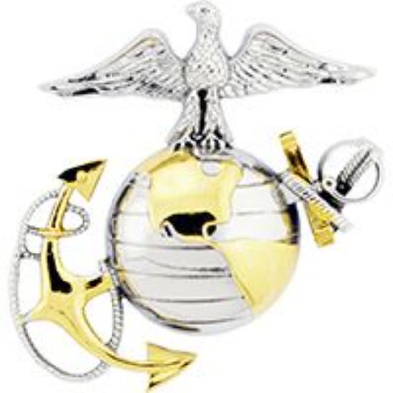 P16362 Pin - USMC, Emblem, E2, Left - Cap - Gold & Silver - 1.63 in.