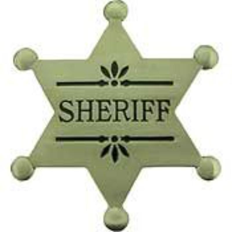 P40072 decal - Sheriff - Pewter - 2.5 in.