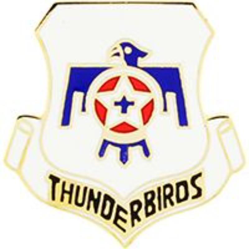 P62499 Pin - T&B, Logo Thunderbird - 1 in.