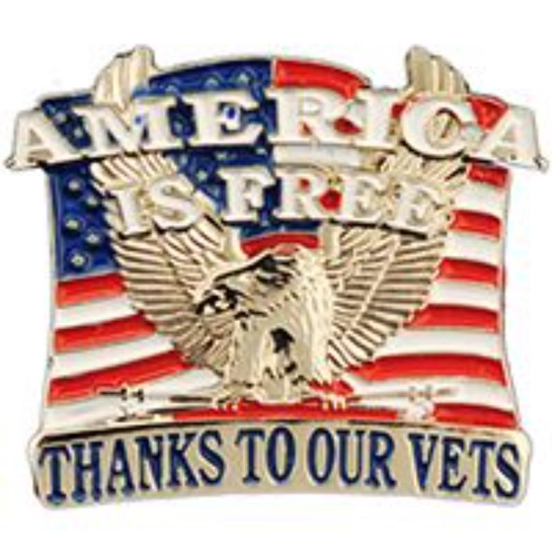 P62687 Pin - Veteran, America is Free Thanks - 1 in.