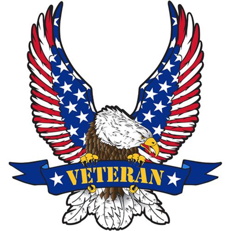 PM9097 Patch - USA Veteran Eagle - 12.5 in.