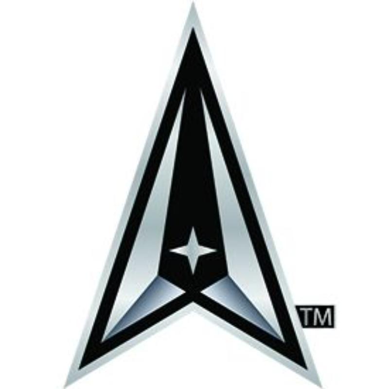P15368 Pin - USSF Space Force Delta - 1 in.
