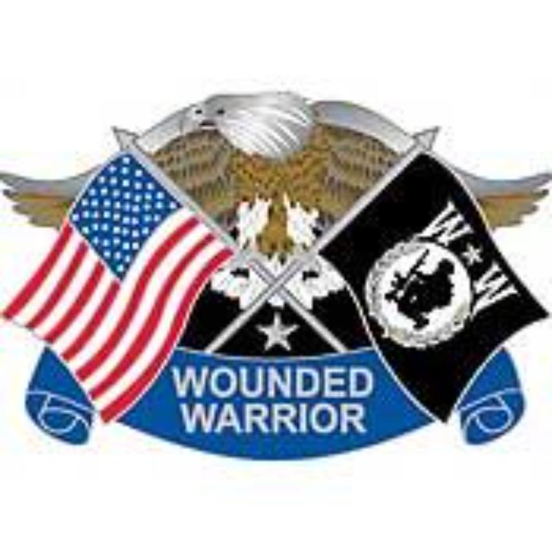 P12608 Pin - Wounded Warrior Eagle - Freedom isnt Free - 1.181 in.