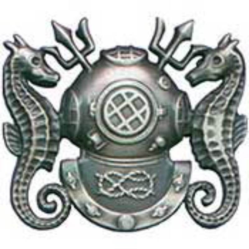 P12745 Pin - Diver, Scuba Master