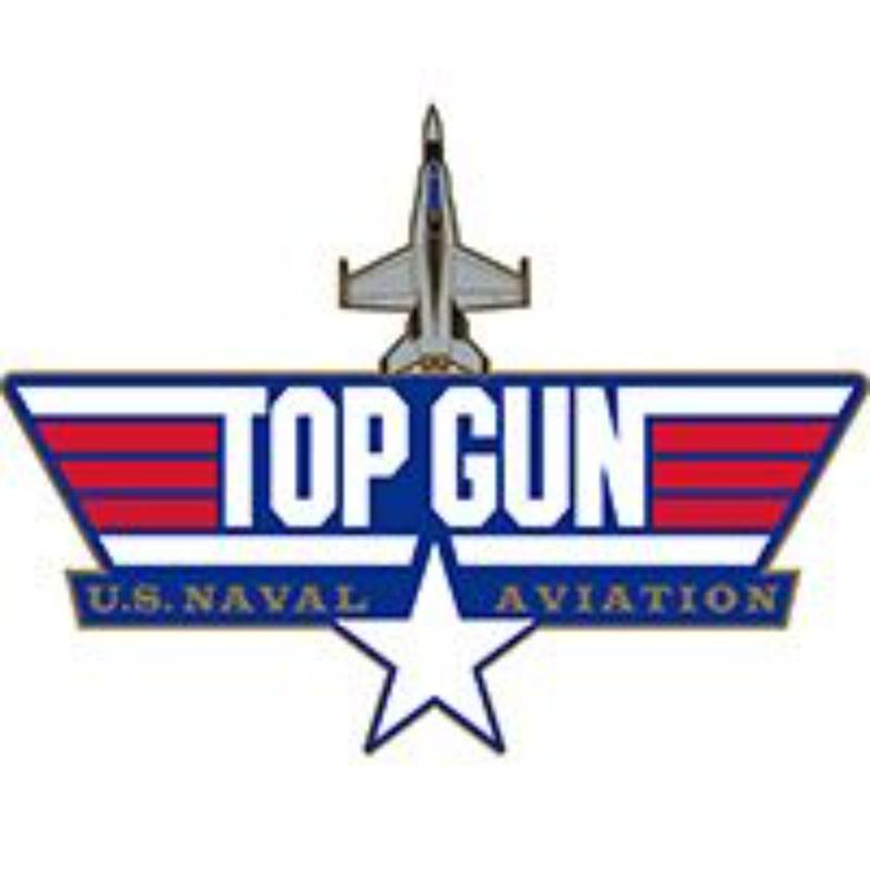 P15766 Pin - USN, Top Gun Jet Logo - 1.25 in.