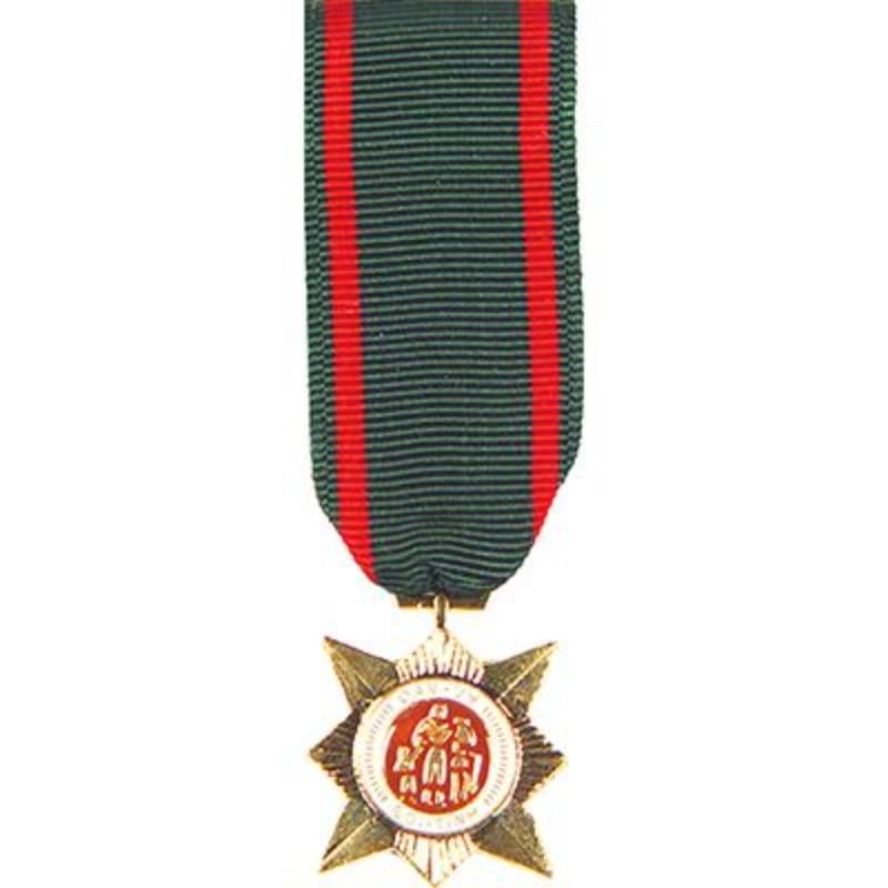 M2177 Mini Medal - Vietnam, Civil Action 2nd - 2.25 in.