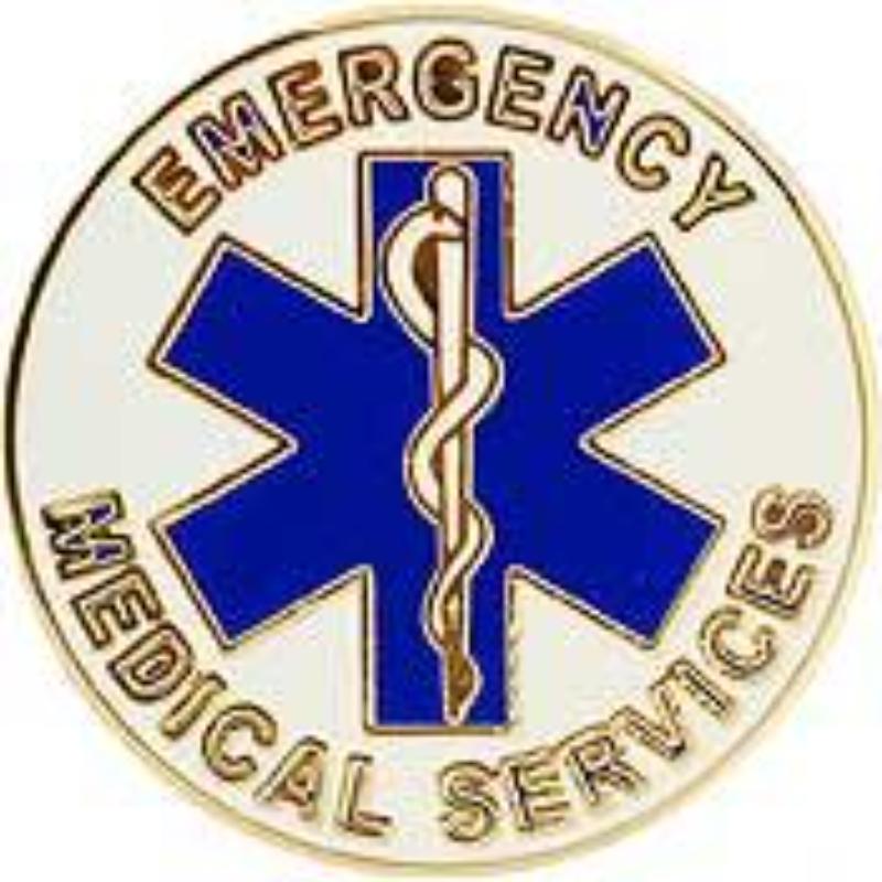 P02306 Pin - EMS Logo - 1 in.