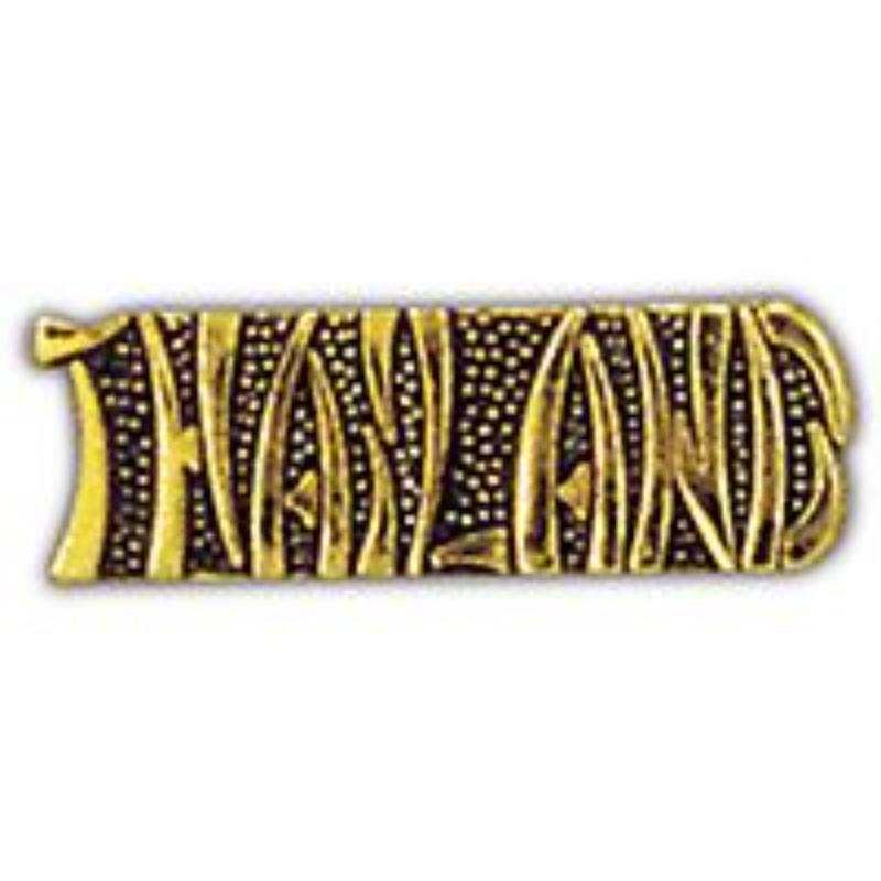 Vietnam Script Pin - Gold - 1.25 in. - Durable Military Design