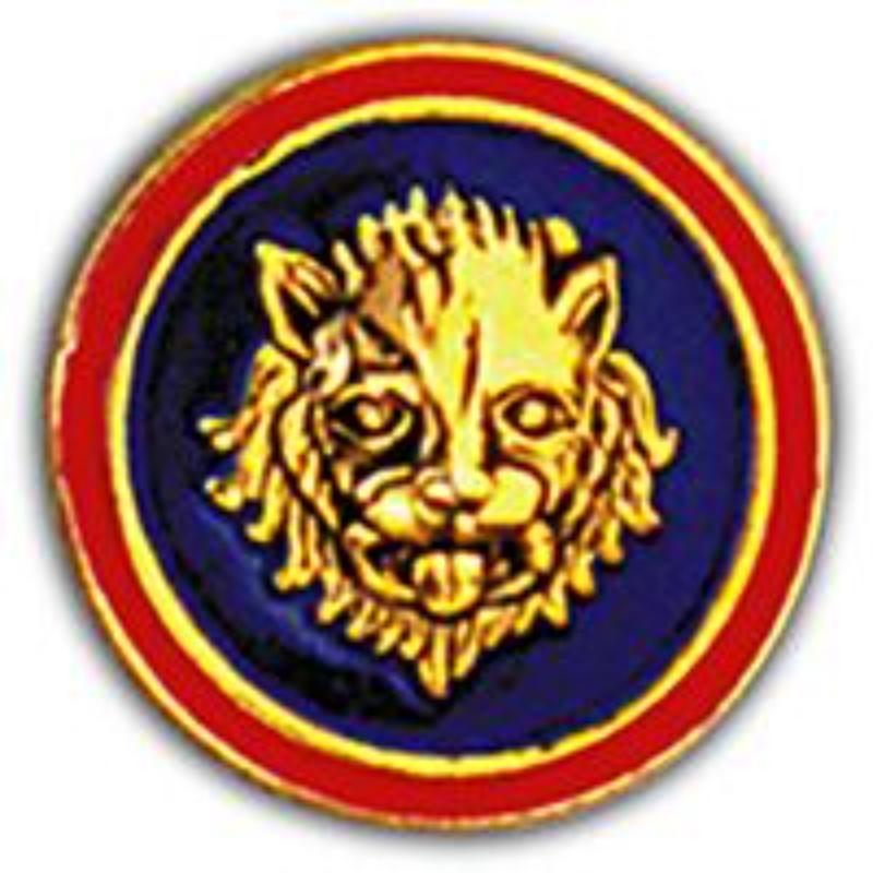 Army 16th Infantry Division Pin - Gold - 1 in. - Durable Design