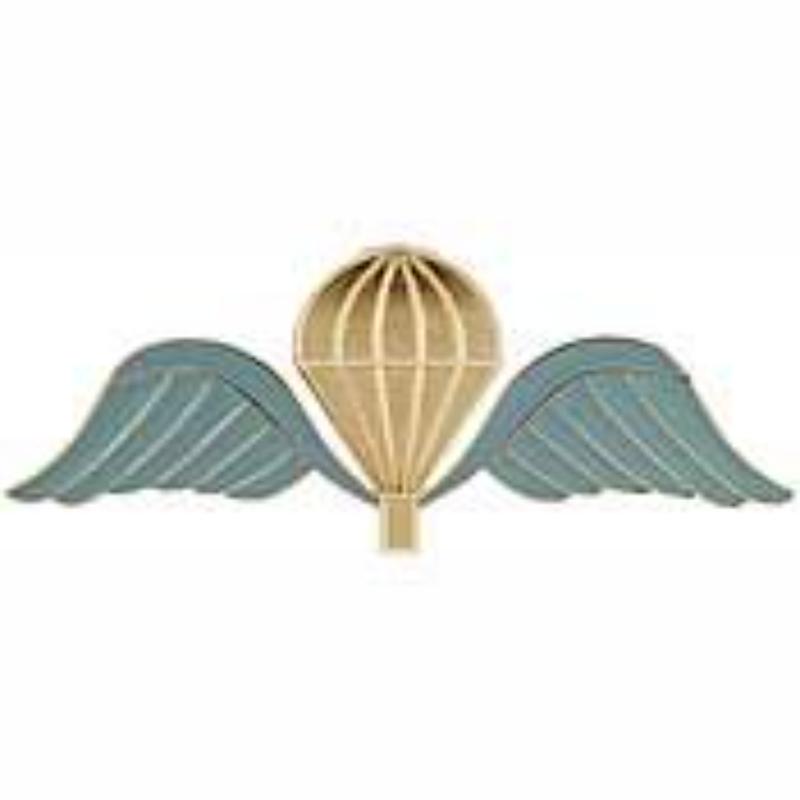 P40030 Wing Pin - Belguim, Jump - 2.75 in.