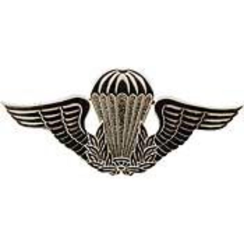 P40032 Wing Pin - Guyana, Jump - 2.75 in.