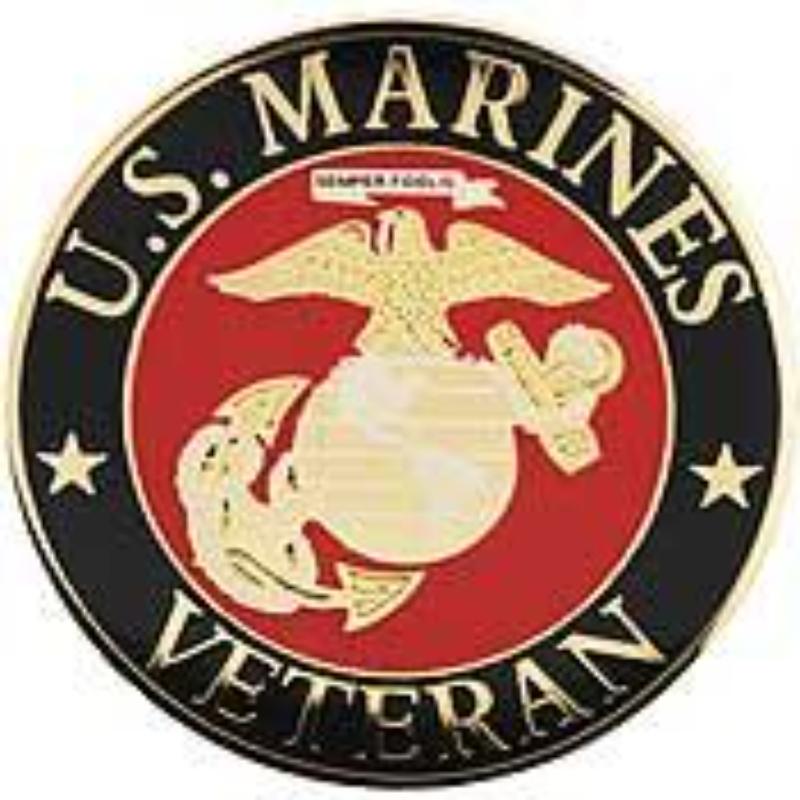 P16424 Pin - USMC Logo, Veteran, Extra Large - 1.5 in.