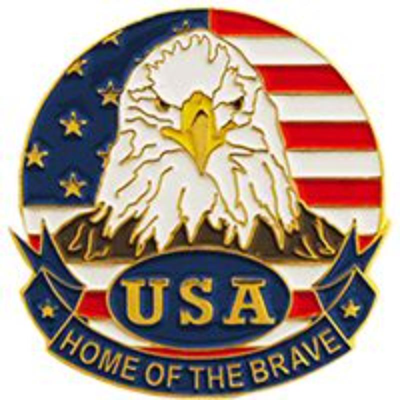P62563 Pin - USA, Flag, Eagle, Circle - 1 in.