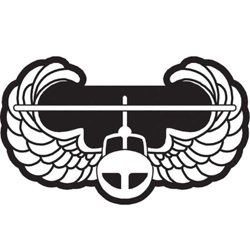 PM7913 Patch - Army, Air Assult - 5.75 in.