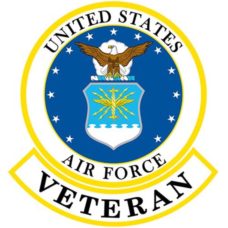 PM9020 Patch - USAF Emblem, Veteran - 12 in.