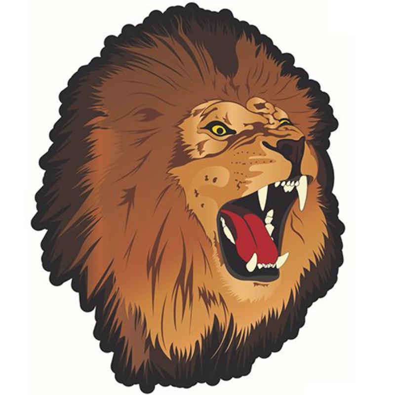 PM9171 Patch - Lion Face - 10.5 in.