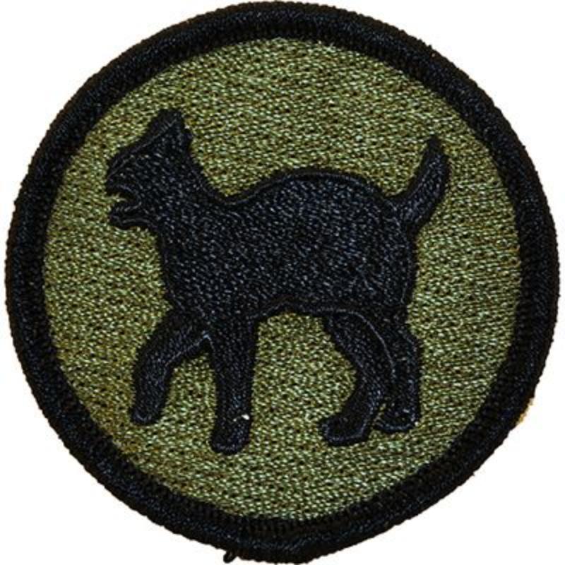 PM3677 Patch - Army, 81st Reg.Read - 3 in.