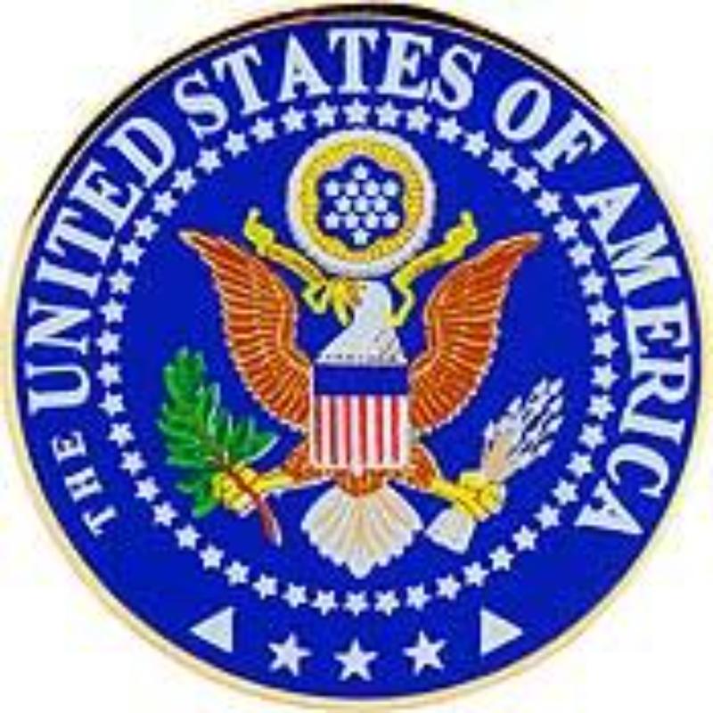 P16380 Pin - USA Seal - Large - 1.5 in.