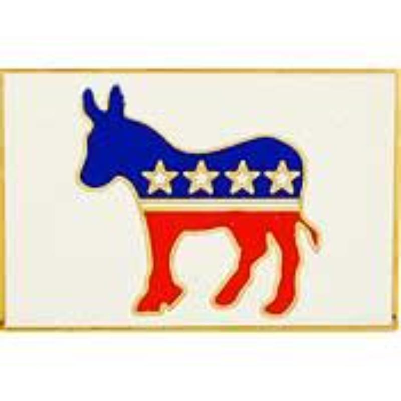 Democrat Party Pin - Red/Blue - 1 in. - Durable Design
