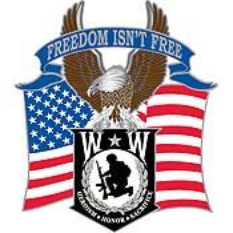 P16183 Pin - Wounded Warrior Eagle - Freedom Isnt free - 1.75 in.