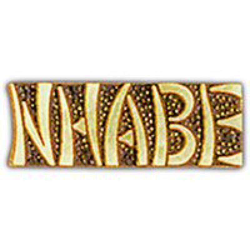P15278 Pin - Vietnam, Script Nhabe - 1 in.